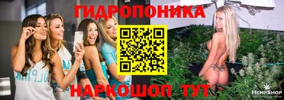 молекула духа Краснокаменск