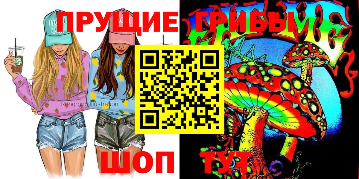 Псилоцибиновые грибы Psilocybe  Вход с VPN  Железноводск 